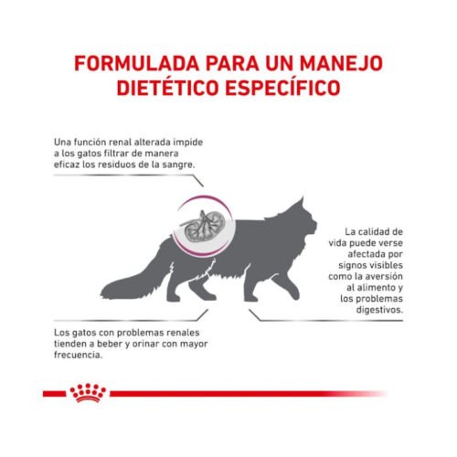 Royal Canin Renal beneficios adicionales del producto