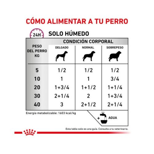 Royal Canin Renal Special Paté Perro racionamiento