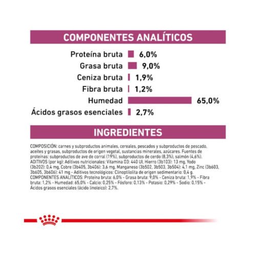 Royal Canin Renal Special Paté Perro kit promocional