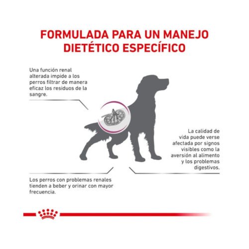 Royal Canin Renal Special beneficios del producto