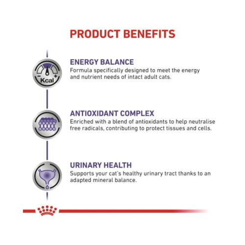 informacion analisis royal canin adult gato comida seca