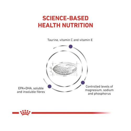 informacion nutricional royal canin adult gato comida seca