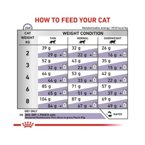 modo de empleo royal canin adult gato comida seca