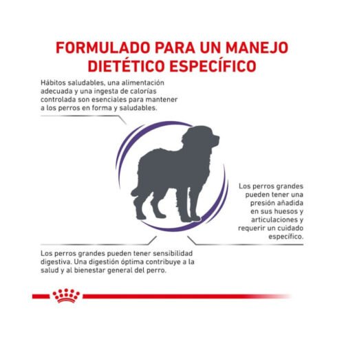 informacion nutricional royal canin adult large dog comida seca