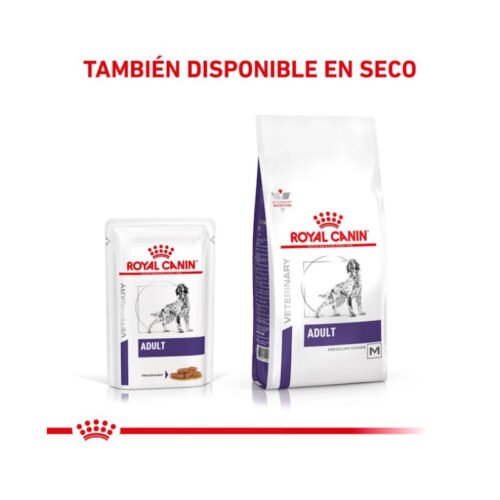 royal-canin-royal-canin-adult-perro-adulto-composicion-alimento-humedo Royal Canin Adult Finas Láminas en Salsa ingredientes y composición