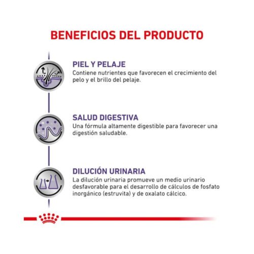 royal-canin-royal-canin-adult-perro-adulto-racion-diaria-alimento-humedo Royal Canin Adult Finas Láminas en Salsa pautas de alimentación