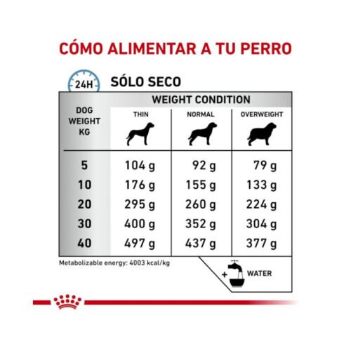 Royal Canin Anallergenic presentación del producto