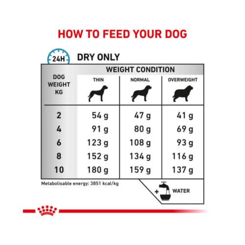 Royal Canin Anallergenic Small Dog muestra croquetas