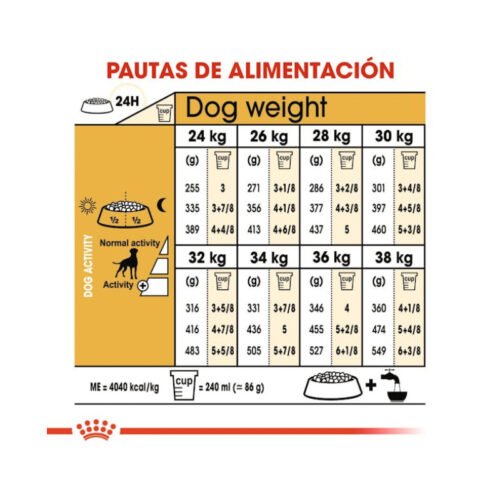 imagen con beneficios principales del pienso Royal Canin Boxer Adult