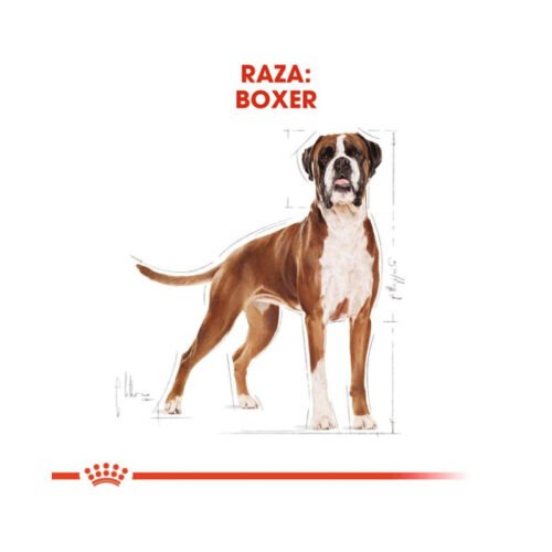 imagen adicional del saco Royal Canin Boxer Adult