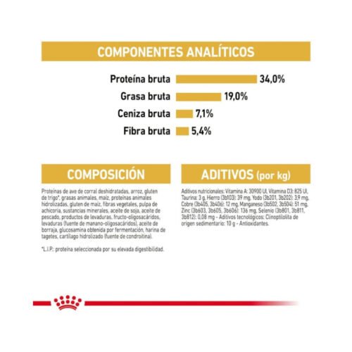 royal-canin-royal-canin-british-shorthair-adult-gato-adulto-folleto Detalle del folleto Royal Canin British Shorthair Adult