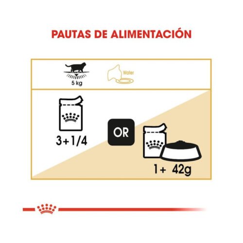Imagen del racionamiento del alimento húmedo Royal Canin British Shorthair Adult