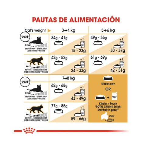 royal-canin-royal-canin-british-shorthair-adult-gato-adulto-racionamiento Tabla de racionamiento Royal Canin British Shorthair Adult