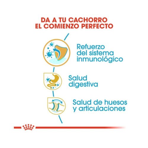 imagen con beneficios principales del pienso Royal Canin Bulldog Puppy