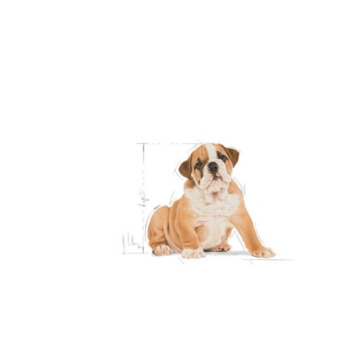 imagen extra del saco Royal Canin Bulldog Puppy