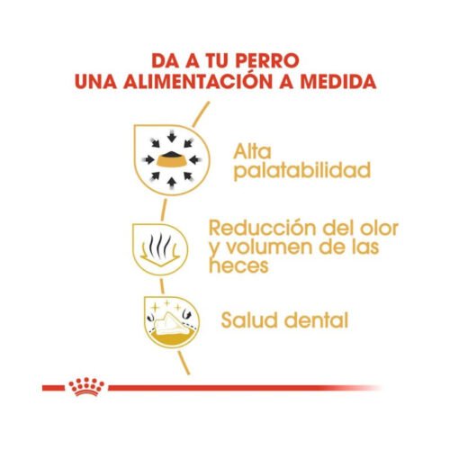 Imagen de los beneficios del pienso Royal Canin Chihuahua Adult