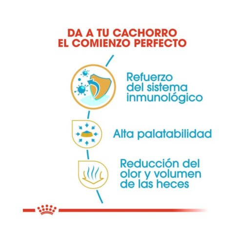 Imagen de los beneficios del pienso Royal Canin Chihuahua Puppy