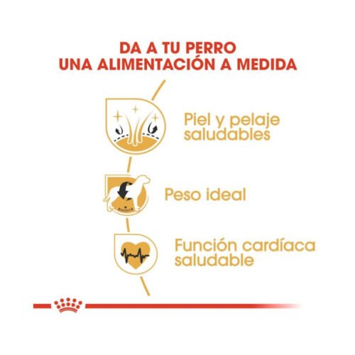 imagen con los beneficios principales del pienso Royal Canin Cocker Adult