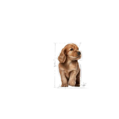 imagen adicional del saco Royal Canin Cocker Puppy