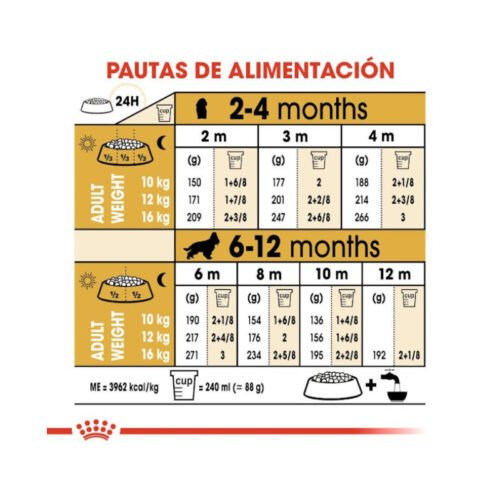 imagen con pautas de racionamiento del pienso Royal Canin Cocker Puppy