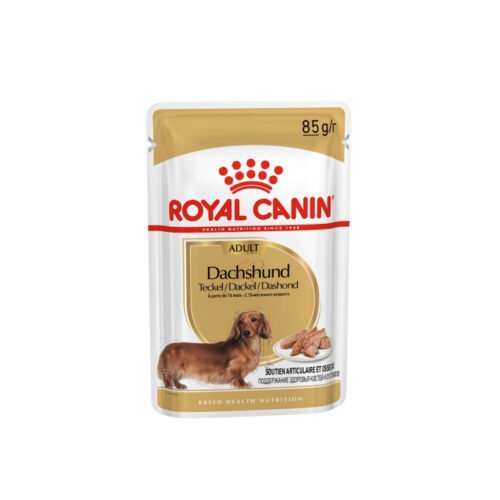 Royal Canin Dachshund Adult sobre frontal comida húmeda