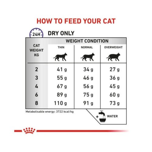 beneficios nutricionales royal canin dental gato comida seca