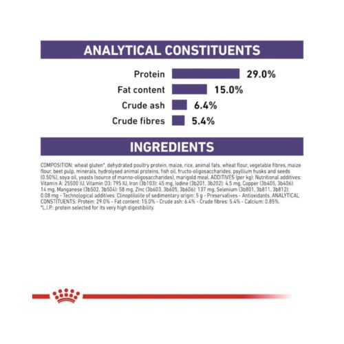 informacion nutricional royal canin dental gato comida seca