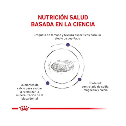 beneficios pienso Royal Canin Dental Small Dog