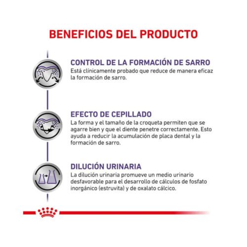 composición analítica pienso Royal Canin Dental Small Dog