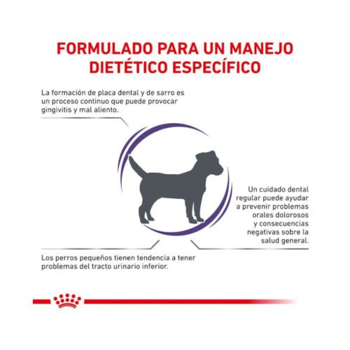 visual adicional pienso Royal Canin Dental Small Dog