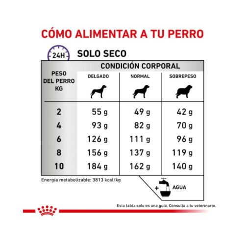 guía de raciones pienso Royal Canin Dental Small Dog