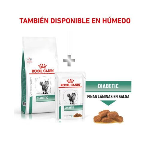 Royal Canin Diabetic Gato Pienso mix feeding