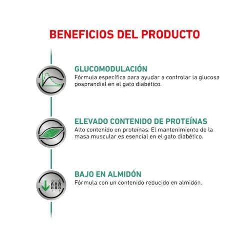 Royal Canin Diabetic Gato Pienso beneficios 2