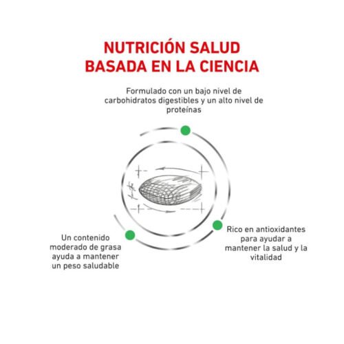 Royal Canin Diabetic Gato Pienso beneficios 1