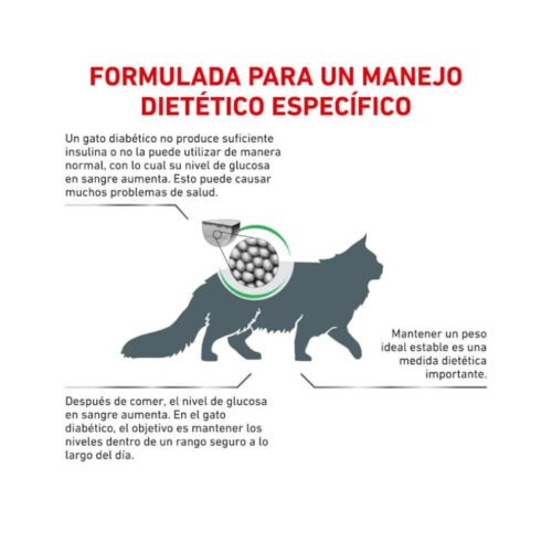 Royal Canin Diabetic Gato Pienso beneficios general