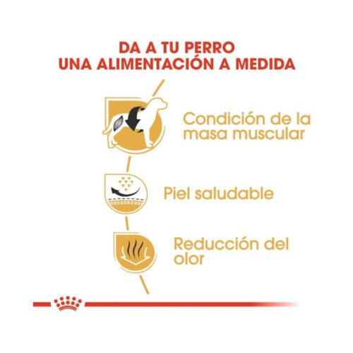 imagen con los beneficios principales del pienso Royal Canin French Bulldog Adult