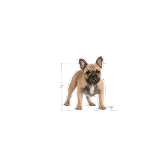imagen extra del saco Royal Canin French Bulldog Adult