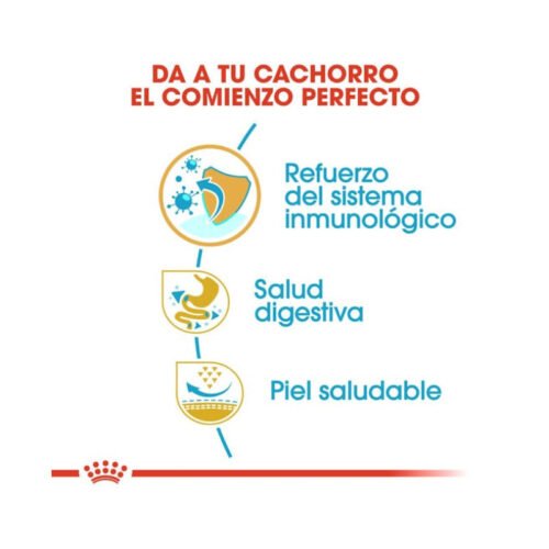 imagen con los beneficios principales del pienso Royal Canin French Bulldog Puppy