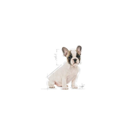 imagen extra del saco Royal Canin French Bulldog Puppy