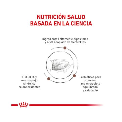 Royal Canin Gastrointestinal pienso para gato adulto beneficios 1