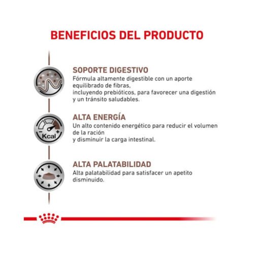 Royal Canin Gastrointestinal pienso para gato adulto beneficios 2