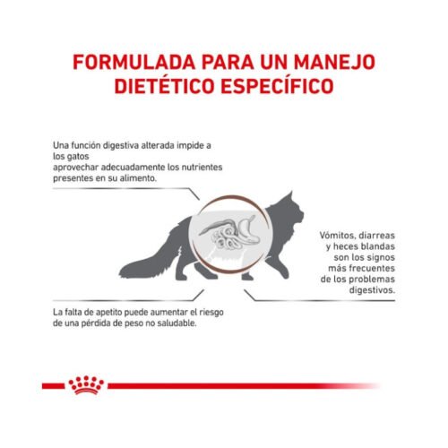 Royal Canin Gastrointestinal pienso para gato adulto beneficios extra