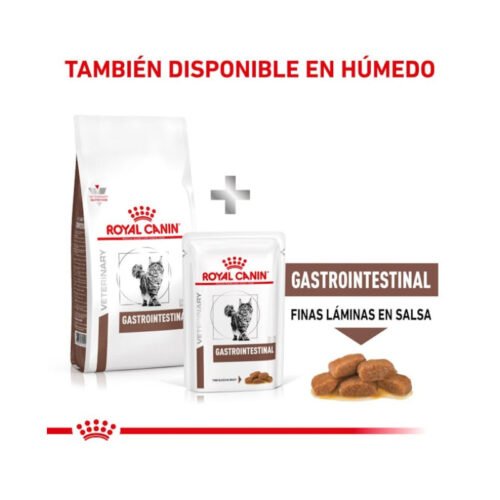 Royal Canin Gastrointestinal pienso para gato adulto mix feeding