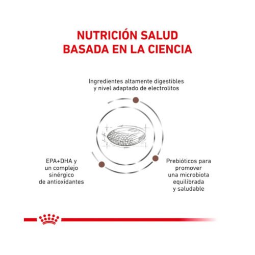 Royal Canin Gastro Intestinal Hairball pienso seco para gatos adultos