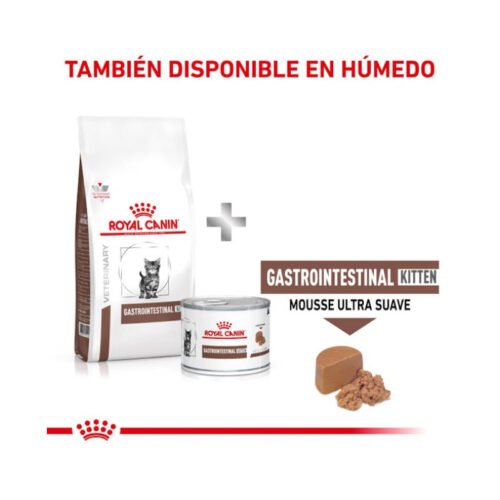 royal-canin-royal-canin-gastro-intestinal-kitten-gato-cachorro-mix-feeding Royal Canin Gastrointestinal Kitten pienso para gato cachorro mix feeding