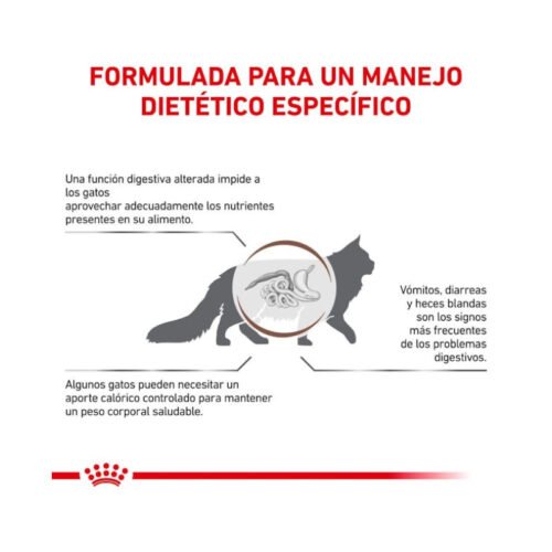 Royal Canin Gastrointestinal Moderate Calorie pienso para gato adulto beneficios extra