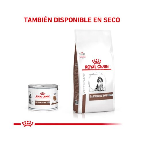 Royal Canin Gastrointestinal Puppy Mousse Ultra Suave combinación de alimentación seca y húmeda