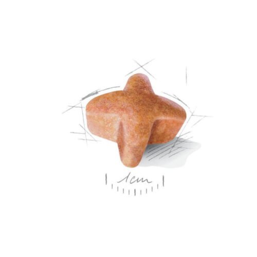 Royal Canin German Shepherd Adult 5+ croquetas