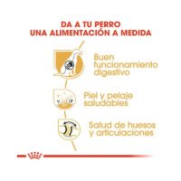 Royal Canin German Shepherd Adult beneficios