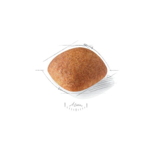 Royal Canin Golden Retriever Adult croquetas